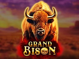 Grand Bison thumbnail